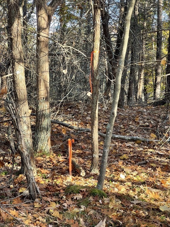 22 Forest Lane Gloucester, MA 01930 - Photo 11 of 17