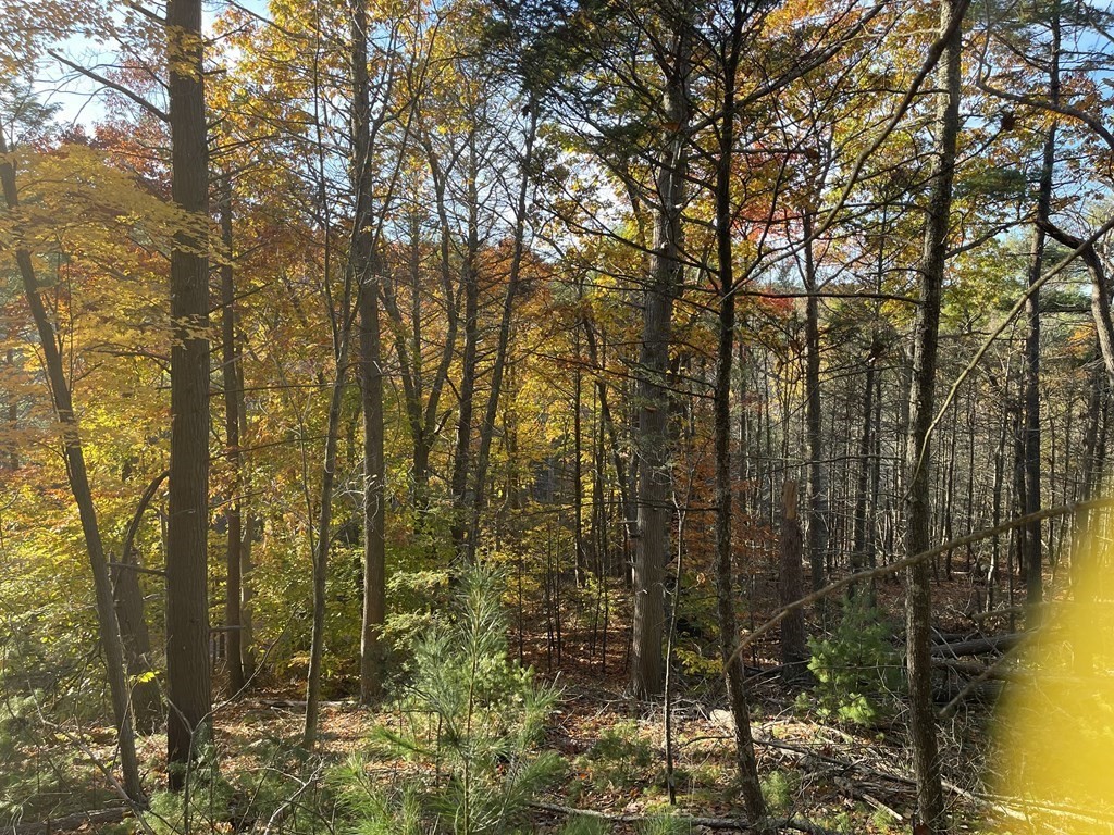 22 Forest Lane Gloucester, MA 01930 - Photo 12 of 17