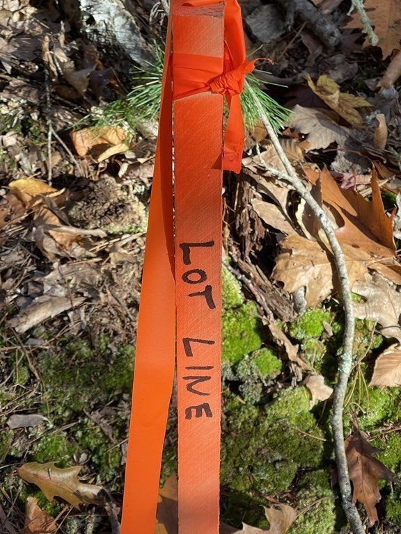 22 Forest Lane Gloucester, MA 01930 - Photo 13 of 17