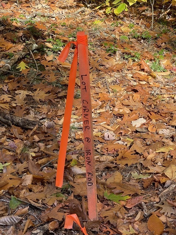 22 Forest Lane Gloucester, MA 01930 - Photo 14 of 17