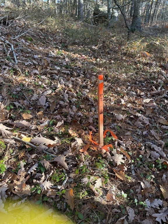 22 Forest Lane Gloucester, MA 01930 - Photo 15 of 17