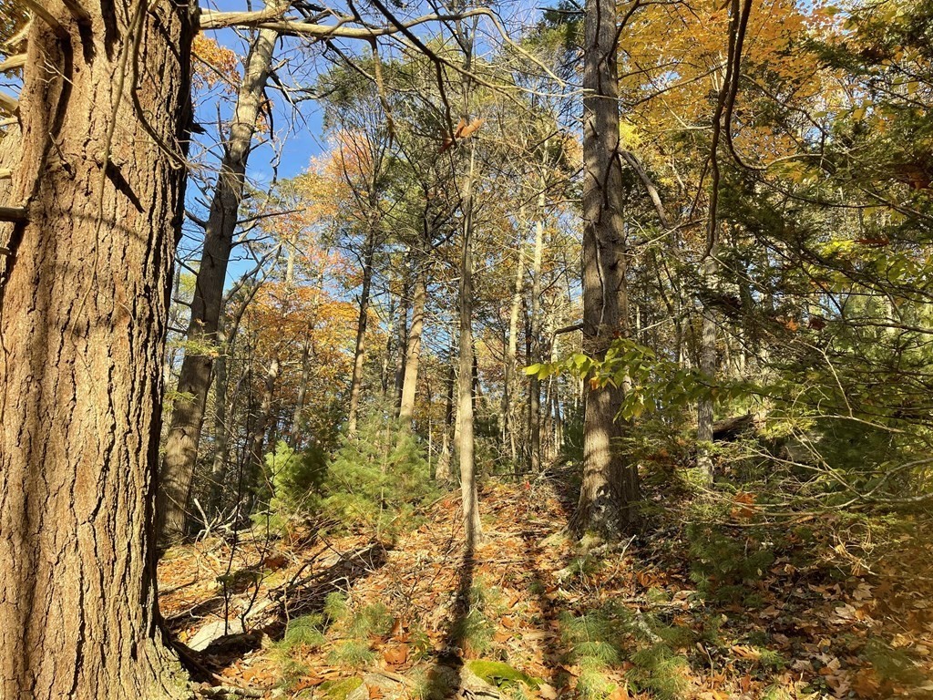 22 Forest Lane Gloucester, MA 01930 - Photo 2 of 17