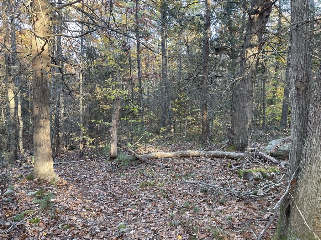 22 Forest Lane Gloucester, MA 01930 - Photo 4 of 17