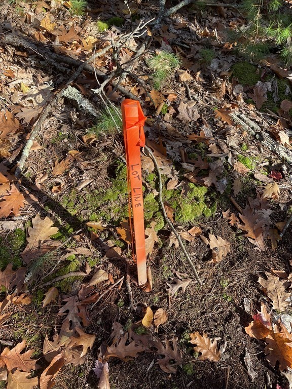 22 Forest Lane Gloucester, MA 01930 - Photo 6 of 17