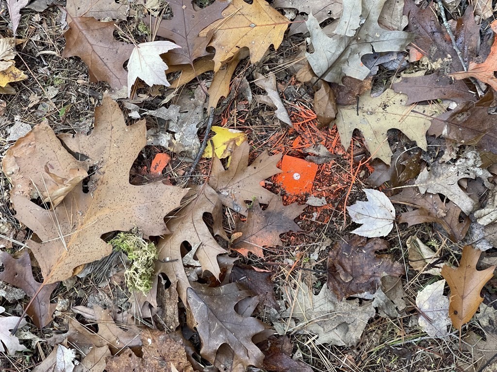 22 Forest Lane Gloucester, MA 01930 - Photo 7 of 17