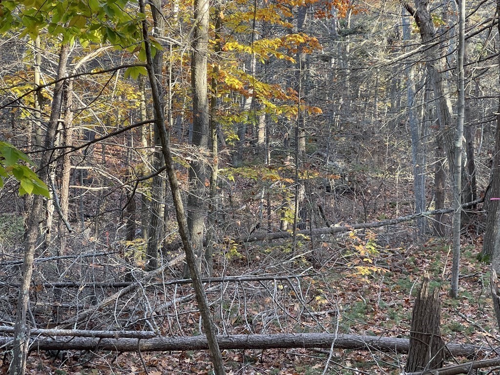 22 Forest Lane Gloucester, MA 01930 - Photo 10 of 17