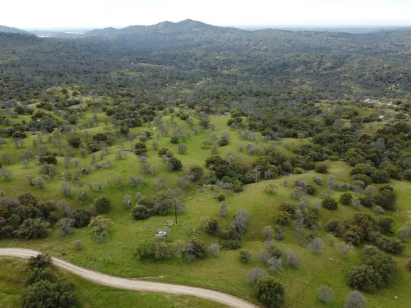 a view of a forest with a small yard and mountain view