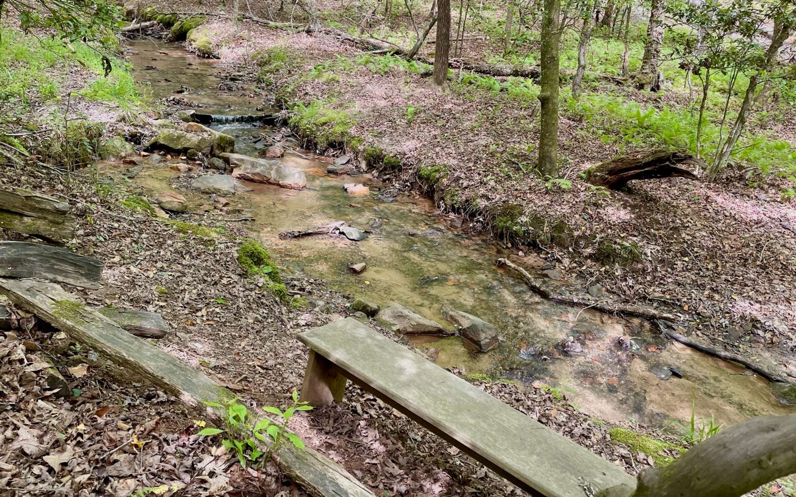 363 Weeks Creek Road Blue Ridge, GA 30513 - Photo 21 of 22 Additional View