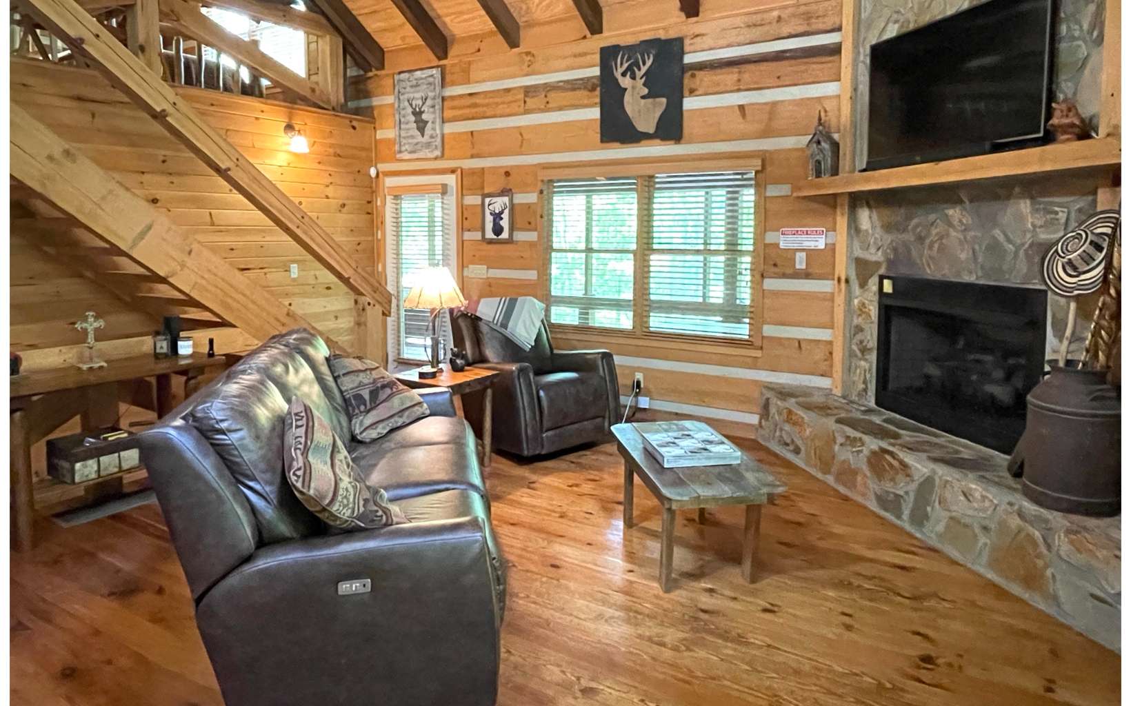363 Weeks Creek Road Blue Ridge, GA 30513 - Photo 6 of 22 Additional View