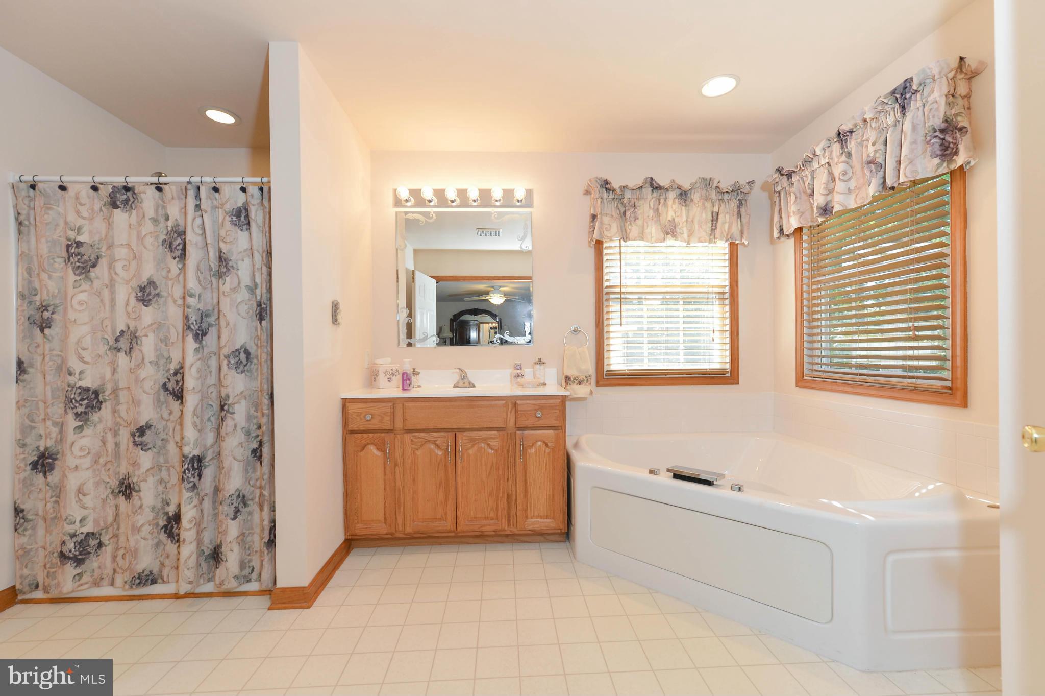 29 Range Road North East, MD 21901 - Photo 12 of 30 Sunny Master Bath Suite