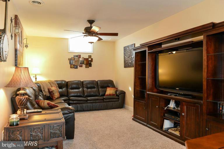 29 Range Road North East, MD 21901 - Photo 19 of 30 Lower level- Family/Game Room-Over 3,600 sq ft