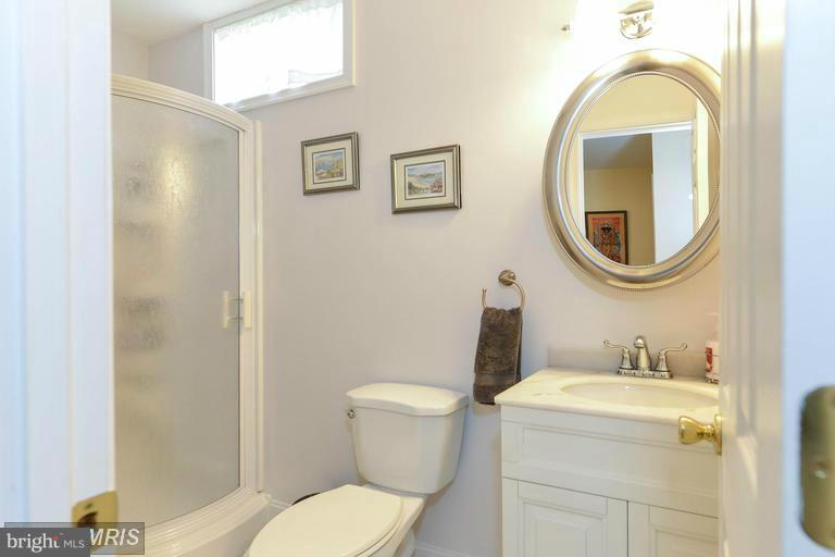29 Range Road North East, MD 21901 - Photo 21 of 30 Full bath in lower level-This One Has It All !!