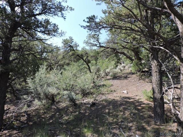 2263 Bateman Road Fort Garland, CO 81133 - Photo 3 of 13 Gallery Image 3