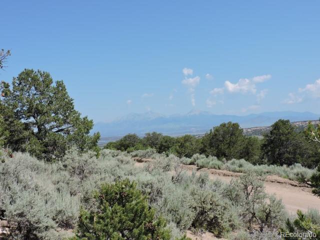 2263 Bateman Road Fort Garland, CO 81133 - Photo 4 of 13 Gallery Image 4