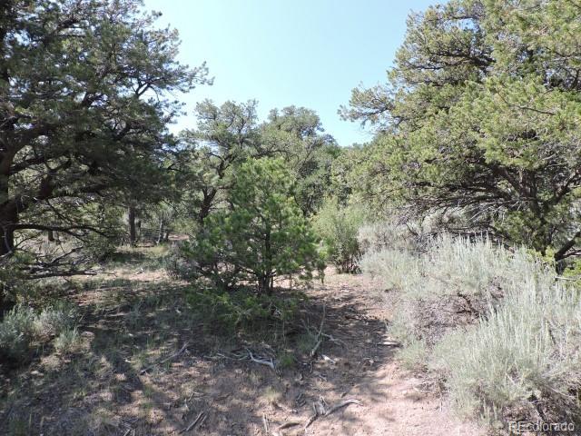 2263 Bateman Road Fort Garland, CO 81133 - Photo 5 of 13 Gallery Image 5