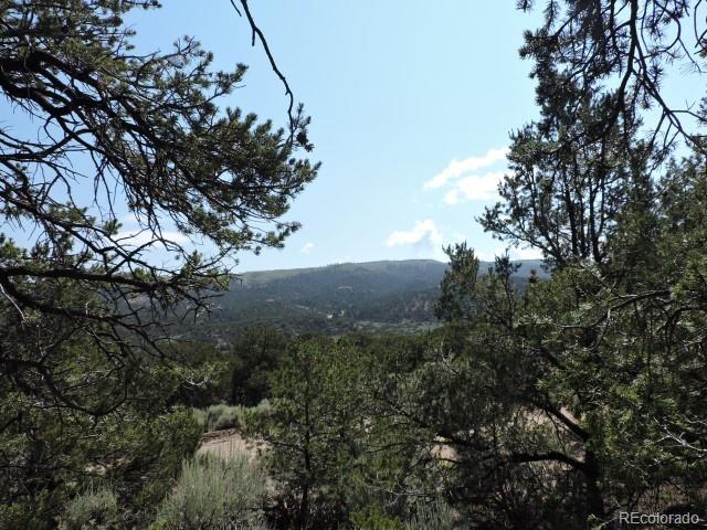 2263 Bateman Road Fort Garland, CO 81133 - Photo 10 of 13 Gallery Image 10