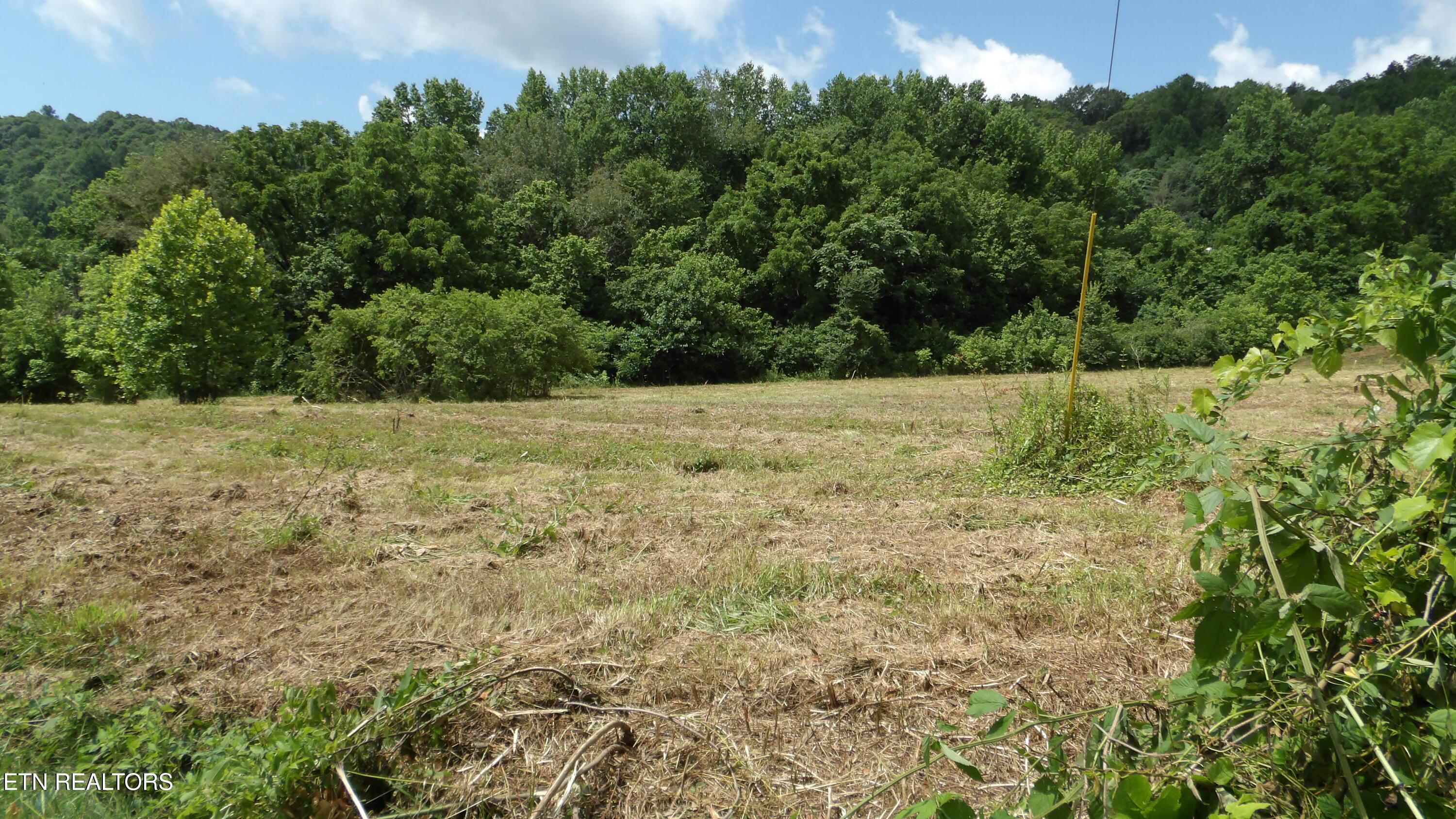 5.6-ac Lonnie Reecer Road Celina, TN 38551 - Photo 5 of 47 100_0036