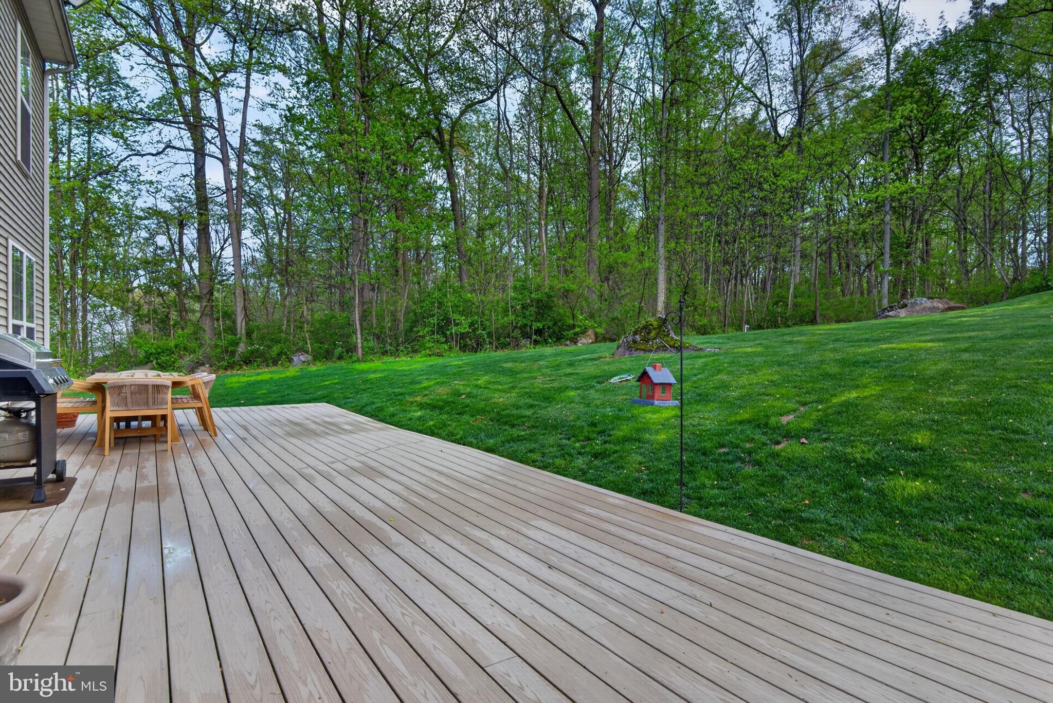 131 Freys Road Elizabethtown, PA 17022 - Photo 18 of 72 a backyard of a house with wooden floor yard and outdoor seating