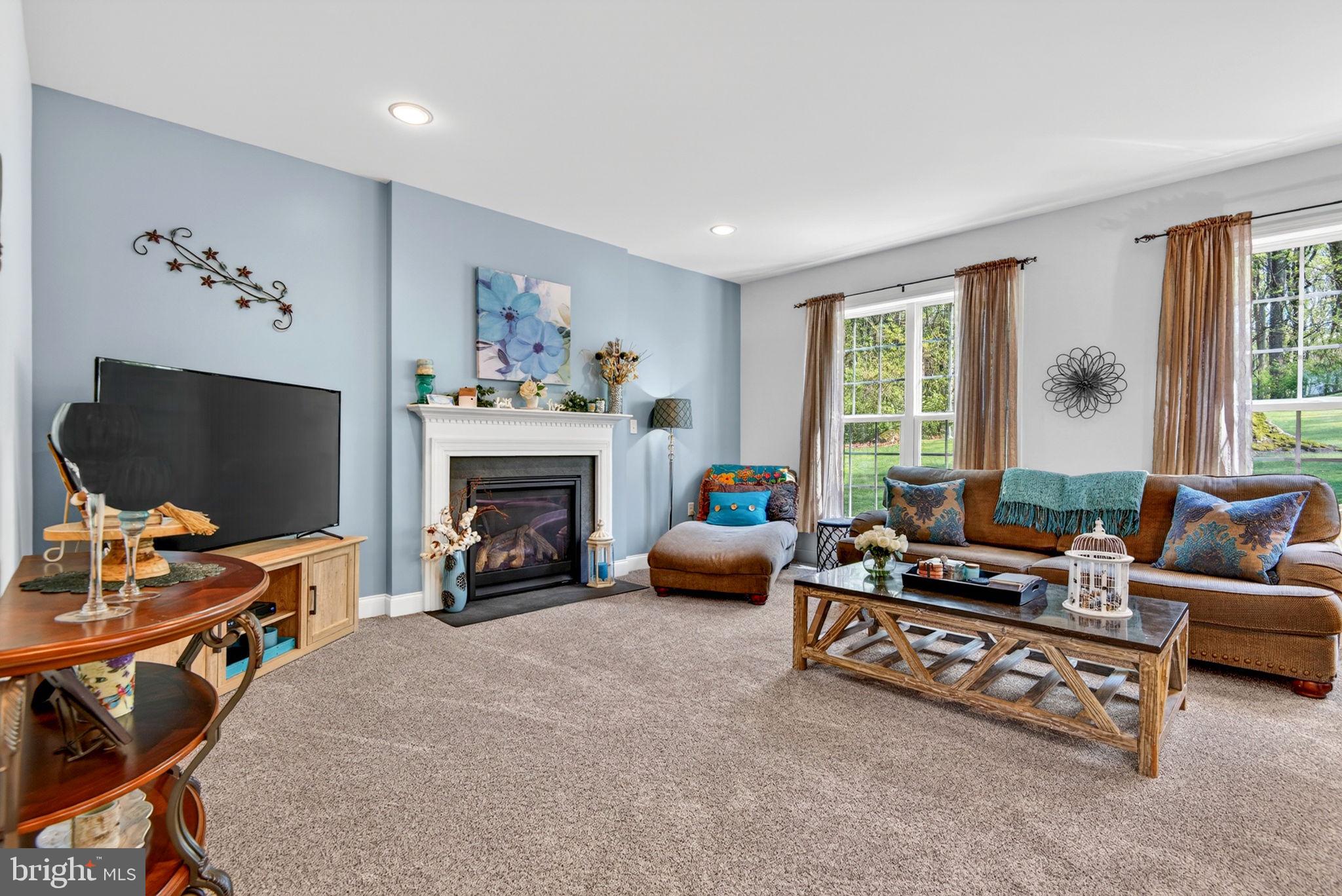 131 Freys Road Elizabethtown, PA 17022 - Photo 29 of 72 a living room with furniture a flat screen tv and a fireplace