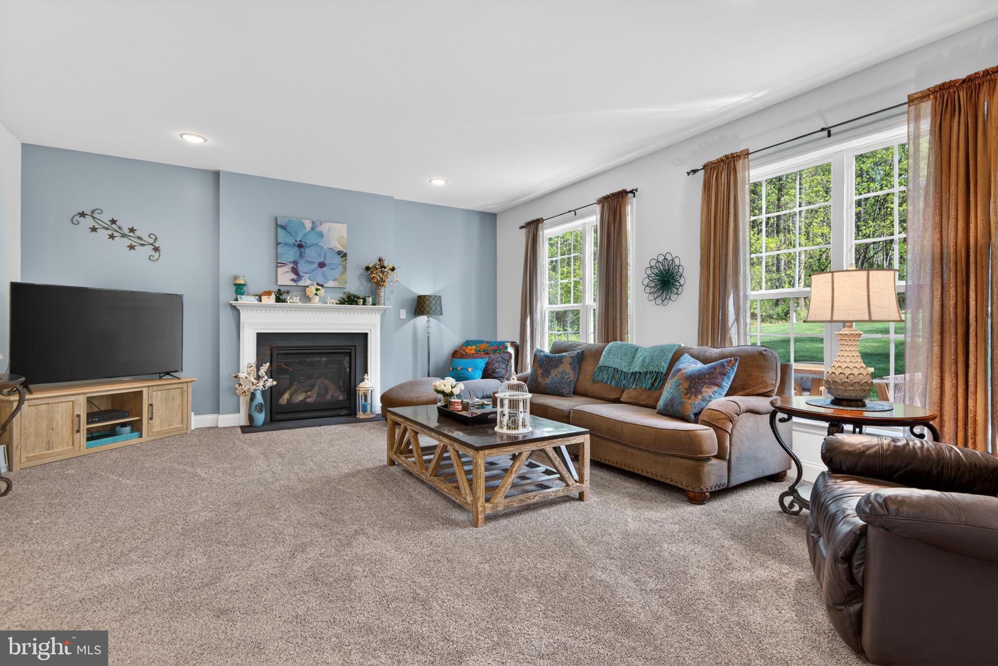 131 Freys Road Elizabethtown, PA 17022 - Photo 32 of 72 a living room with furniture a flat screen tv and a fireplace