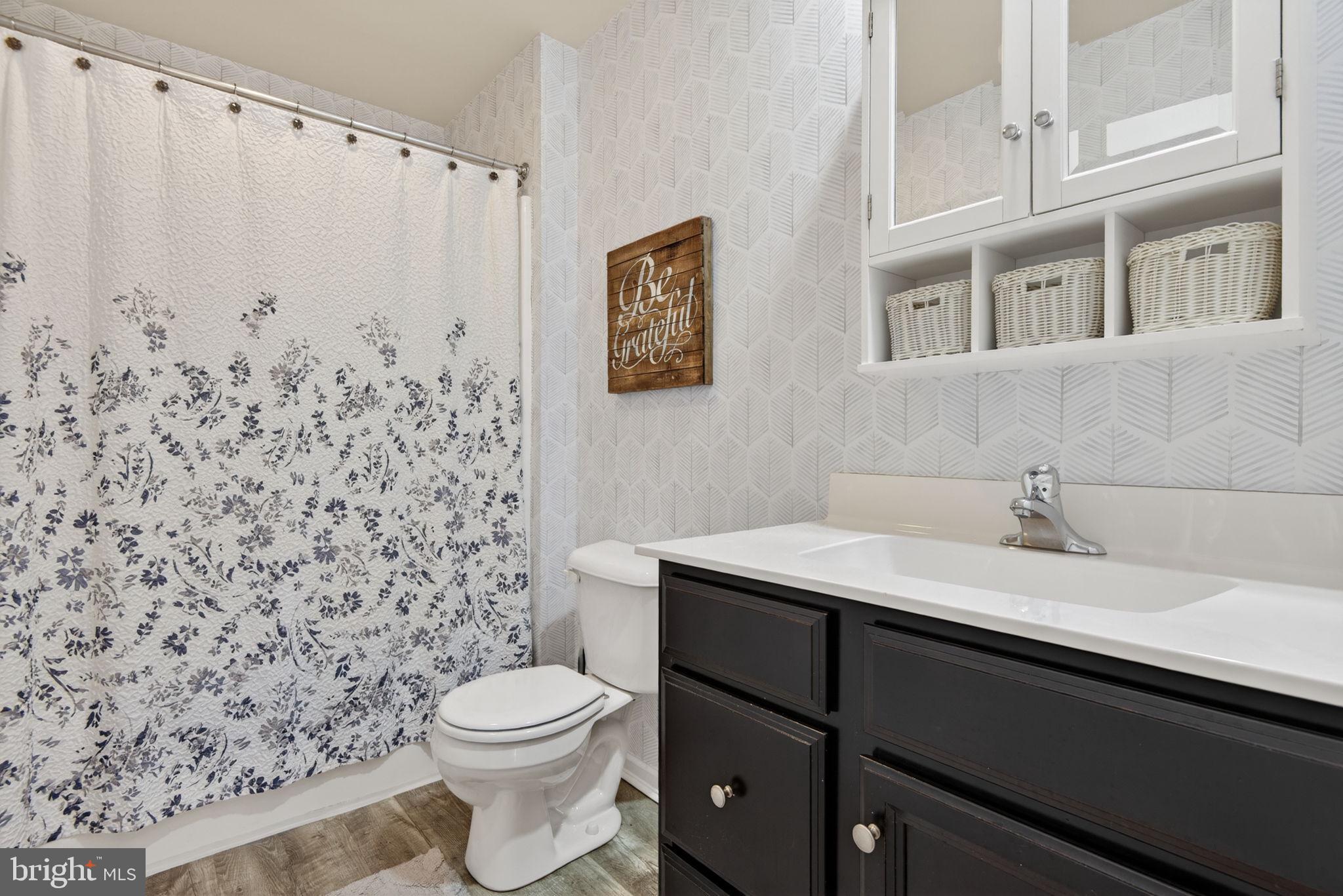 131 Freys Road Elizabethtown, PA 17022 - Photo 62 of 72 a bathroom with a sink a toilet and a mirror