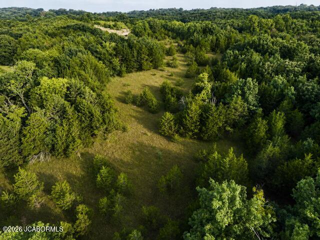 Tbd Swift Road Henley, MO 65040 - Photo 26 of 38 Gallery Image 26