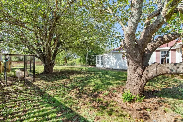 a tree in the middle of a yard