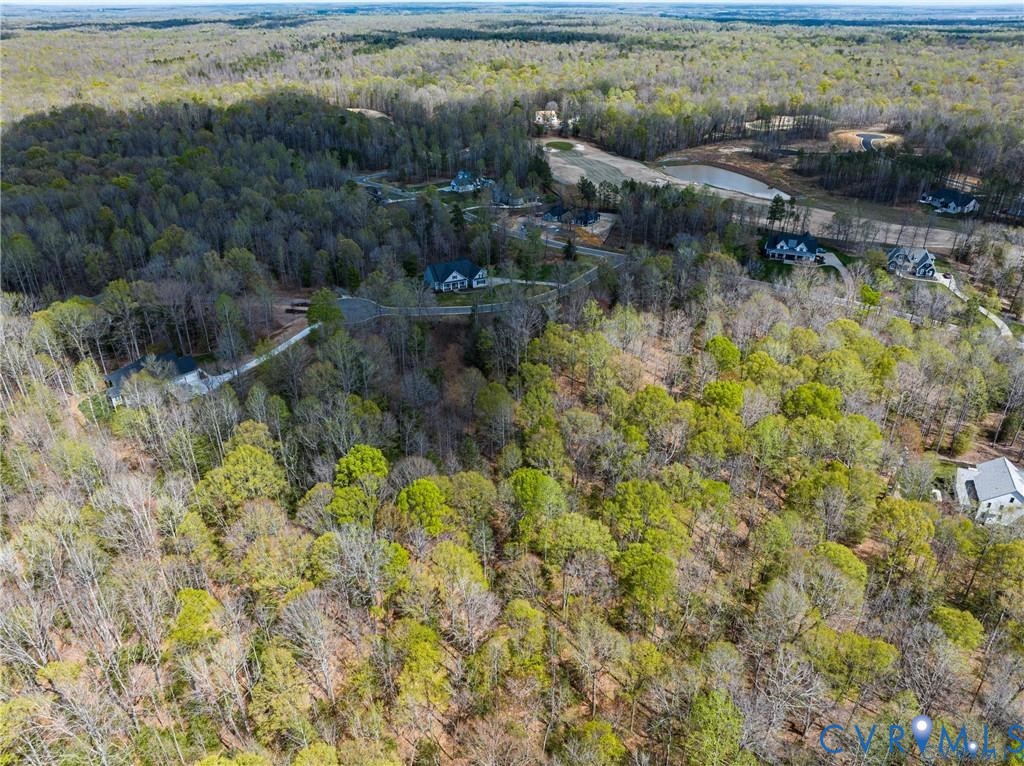 7195 Canopy Circle New Kent, VA 23124 - Photo 2 of 11 a view of a lake with lots of trees