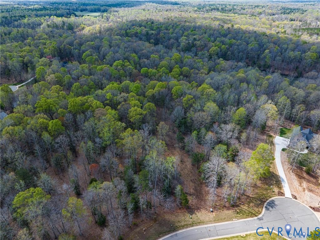 7195 Canopy Circle New Kent, VA 23124 - Photo 4 of 11 a view of a lot of trees and bushes