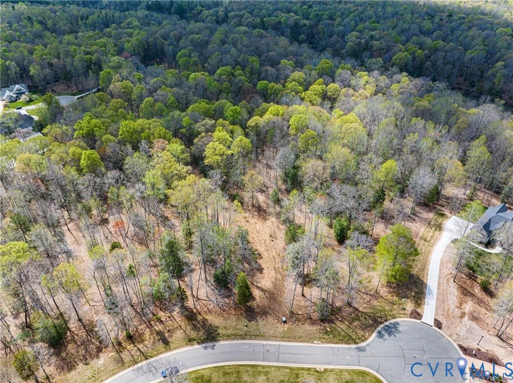 7195 Canopy Circle New Kent, VA 23124 - Photo 5 of 11 a view of a lot of trees and bushes