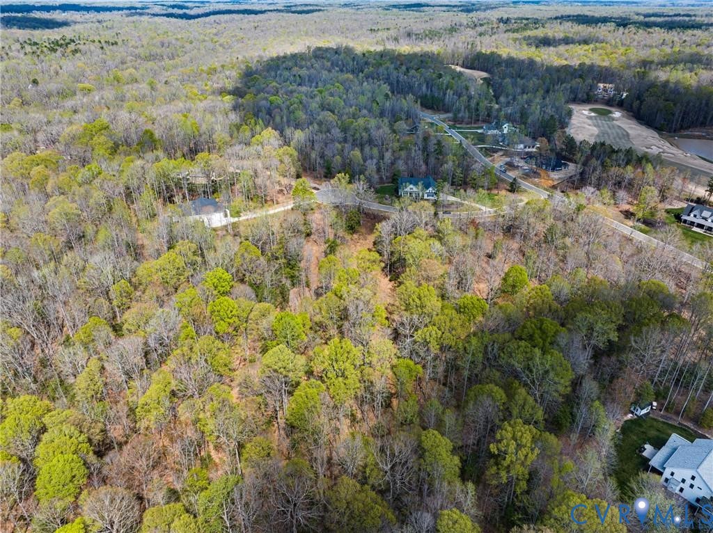 7195 Canopy Circle New Kent, VA 23124 - Photo 7 of 11 a view of a yard with a tree