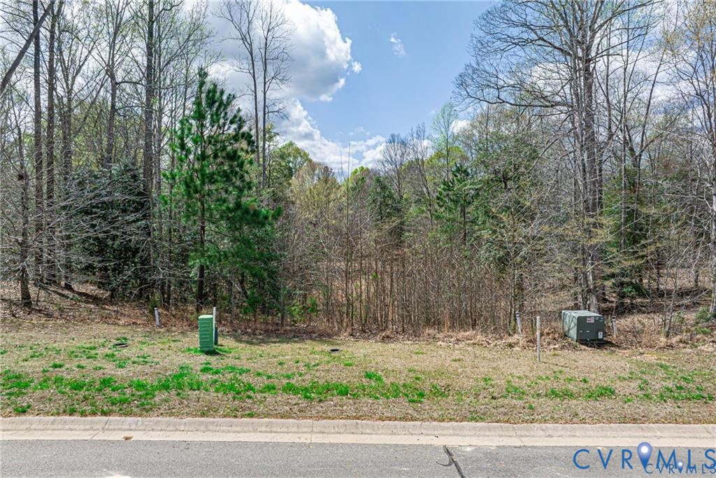 7195 Canopy Circle New Kent, VA 23124 - Photo 9 of 11 a view of a yard with plants and trees