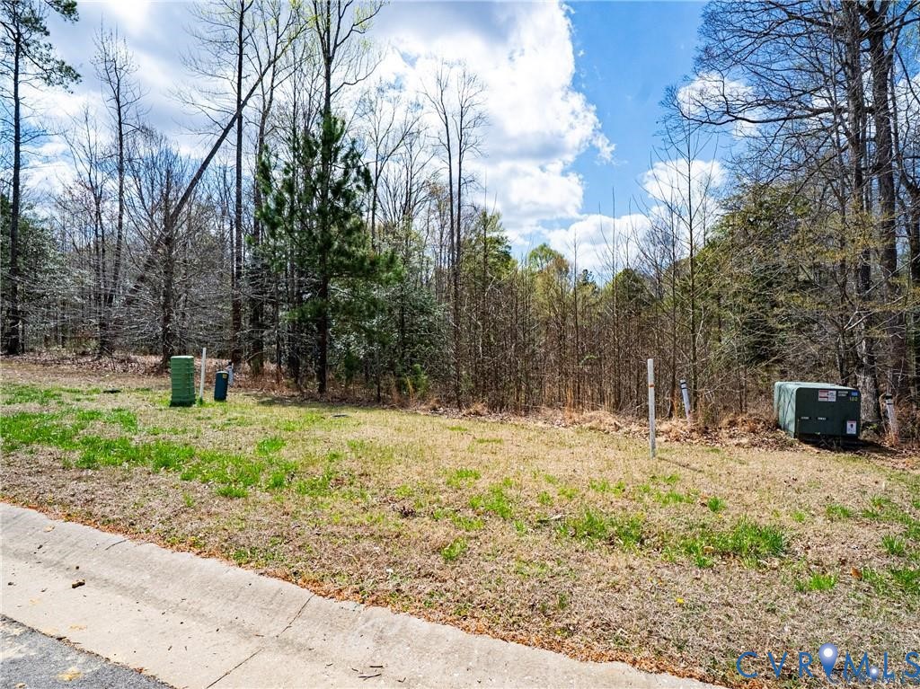 7195 Canopy Circle New Kent, VA 23124 - Photo 10 of 11 a view of a yard with trees