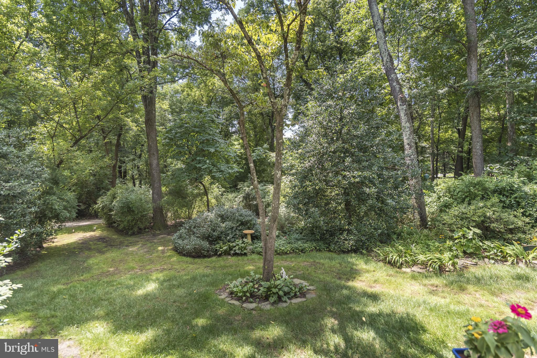 1136 Bacon Ridge Road Crownsville, MD 21032 - Photo 8 of 30 Landscaped rear gardens