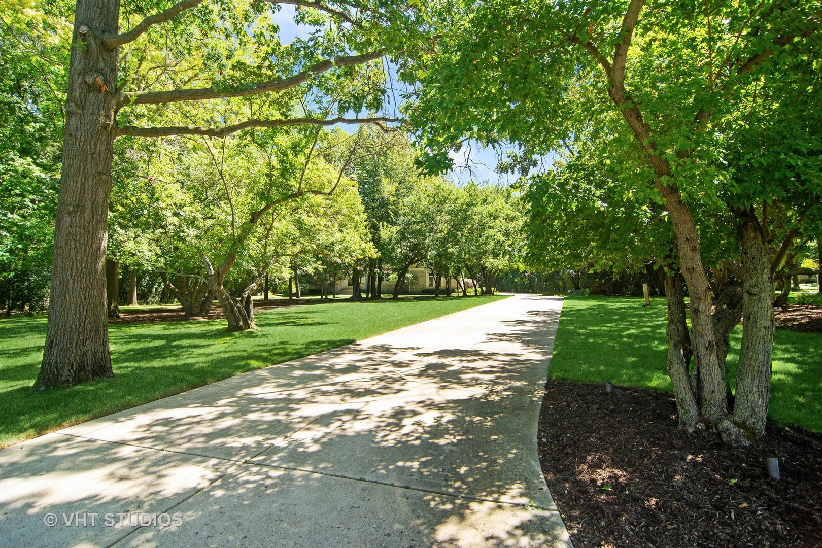 1860 Pheasant Run Long Grove, IL 60047 - Photo 4 of 76 a view of a yard with plants and large trees