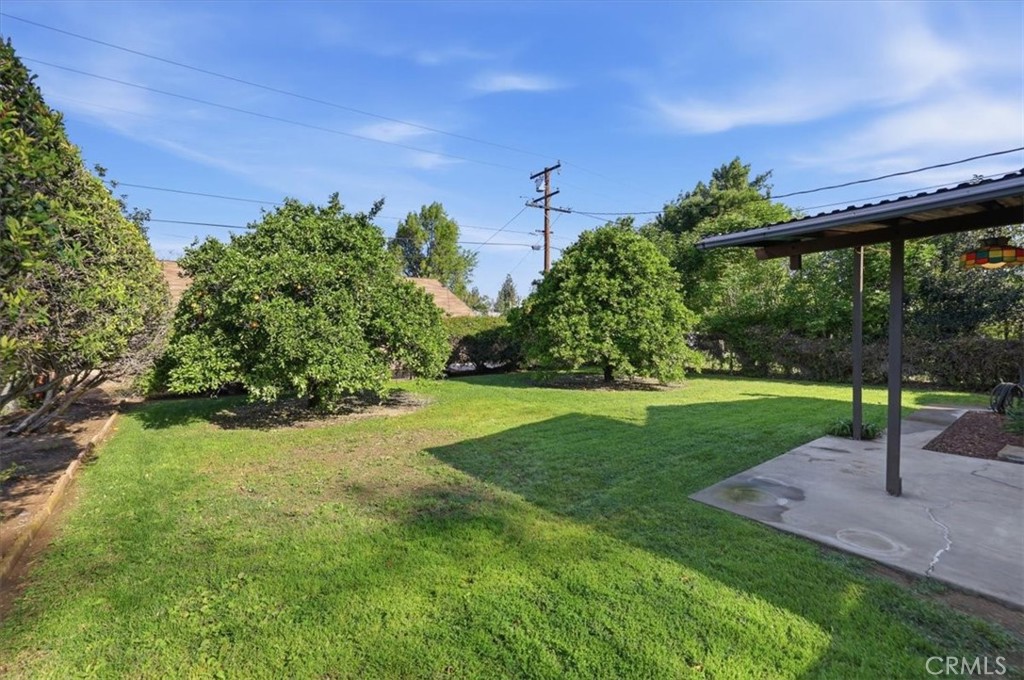7869 Sycamore Avenue Riverside, CA 92504 - Photo 36 of 36 a view of a garden with a tree