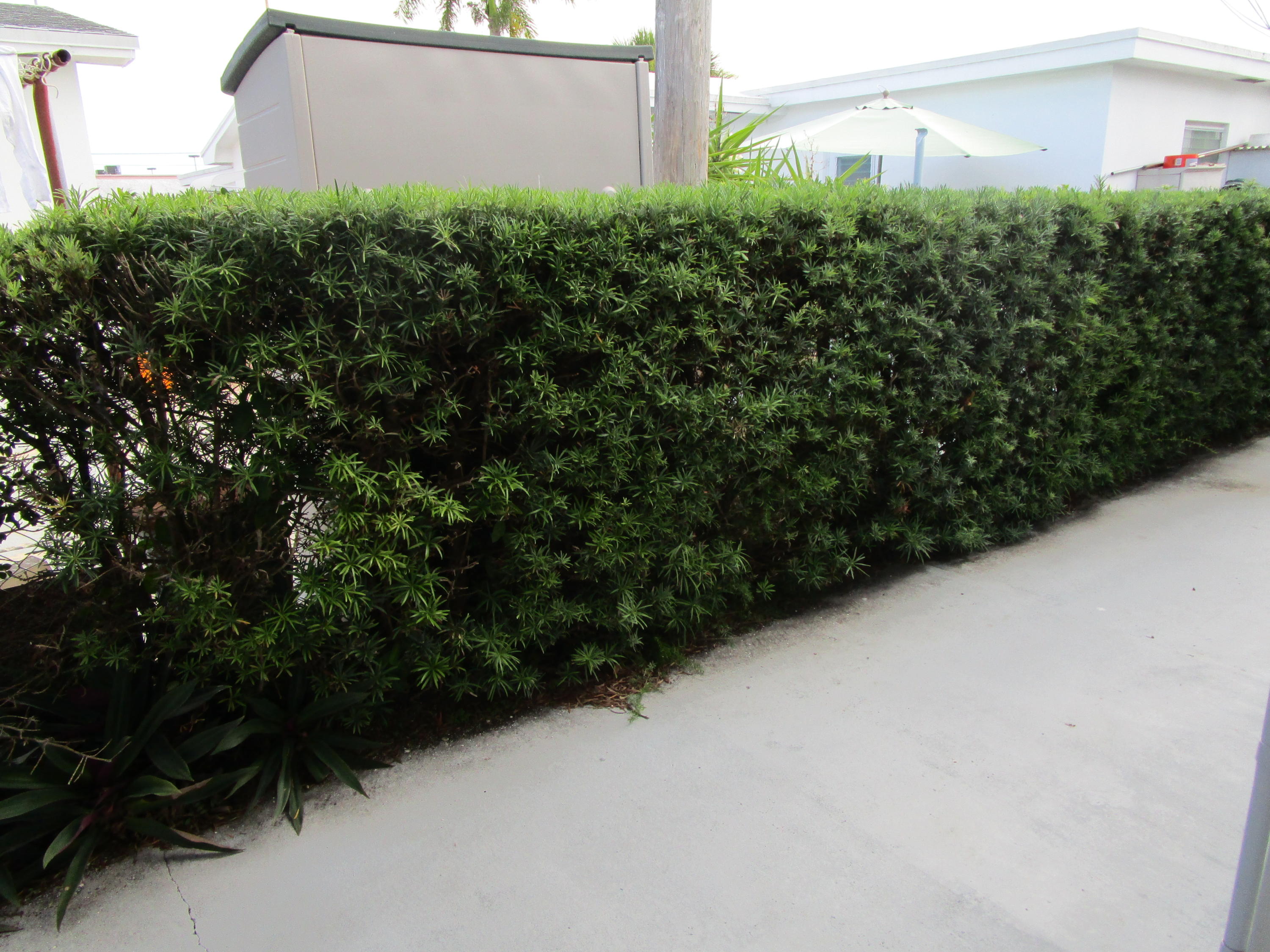 722 Ridge Road, Unit 14 Lantana, FL 33462 - Photo 12 of 13 Back Patio