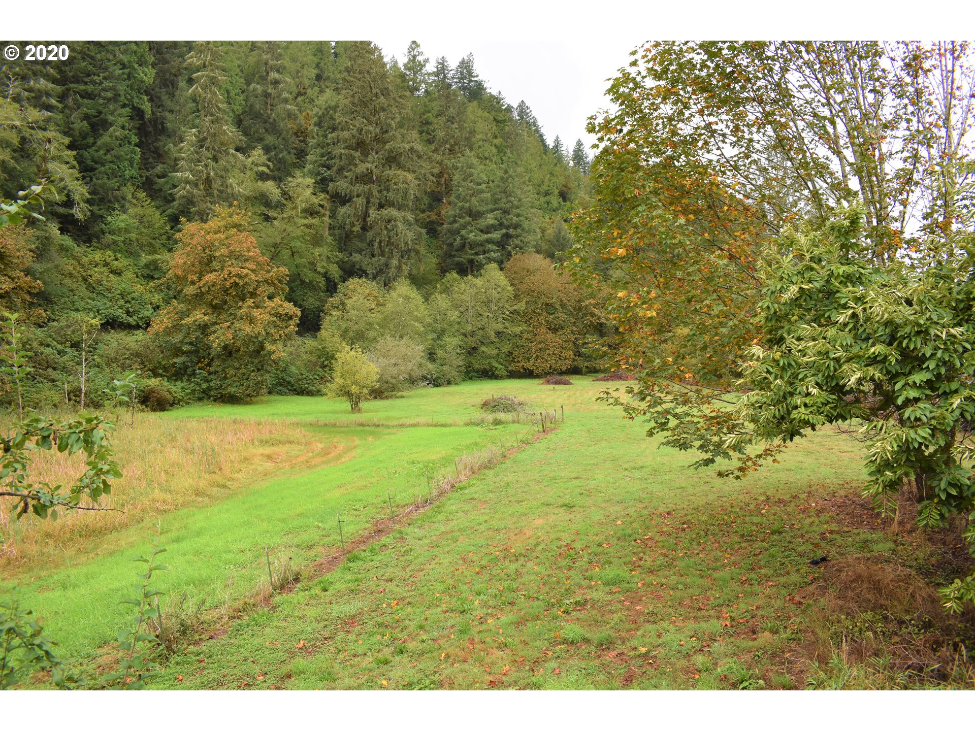 9323 Bernhardt Creek Road Mapleton, OR 97453 - Photo 5 of 12 Gallery Image 5