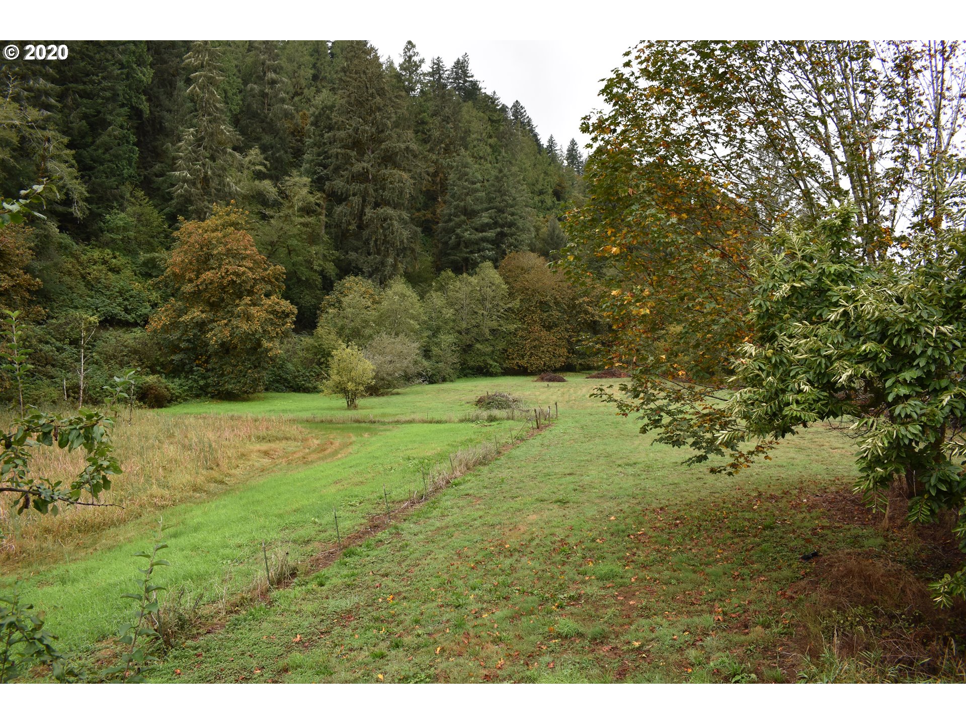 9323 Bernhardt Creek Road Mapleton, OR 97453 - Photo 6 of 12 Gallery Image 6