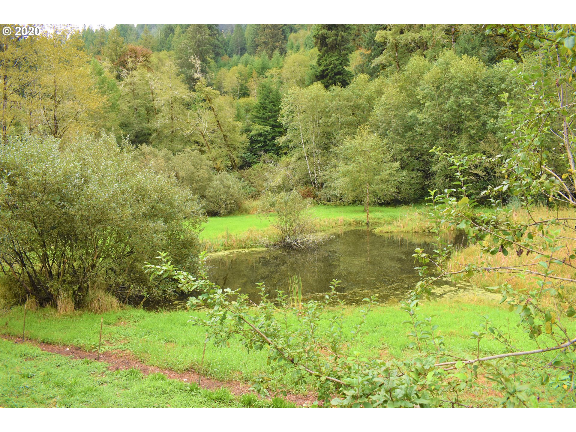 9323 Bernhardt Creek Road Mapleton, OR 97453 - Photo 7 of 12 Gallery Image 7