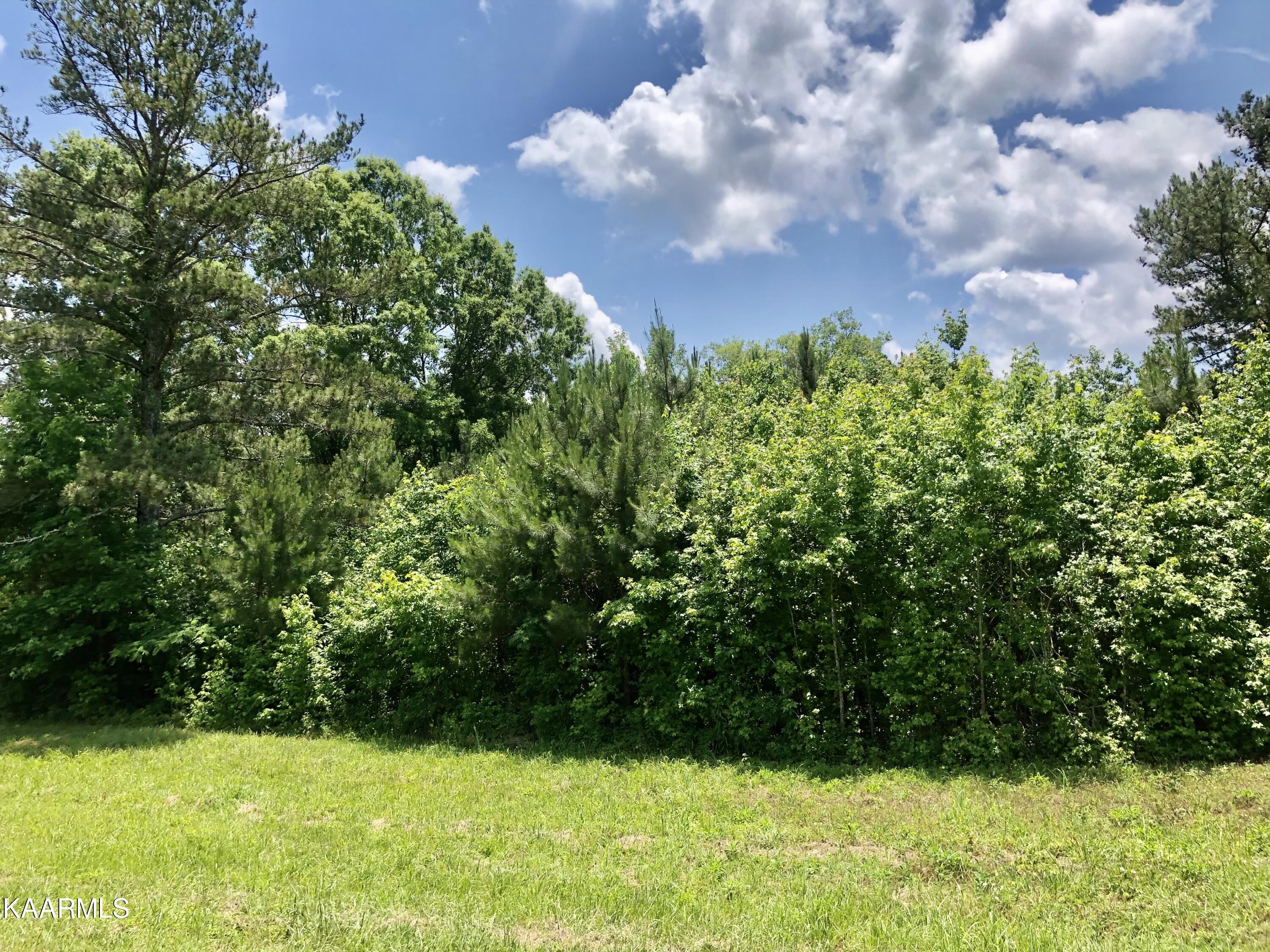 30 Hwy Decatur Tn 37322 Decatur, TN 37322 - Photo 1 of 33 2-1