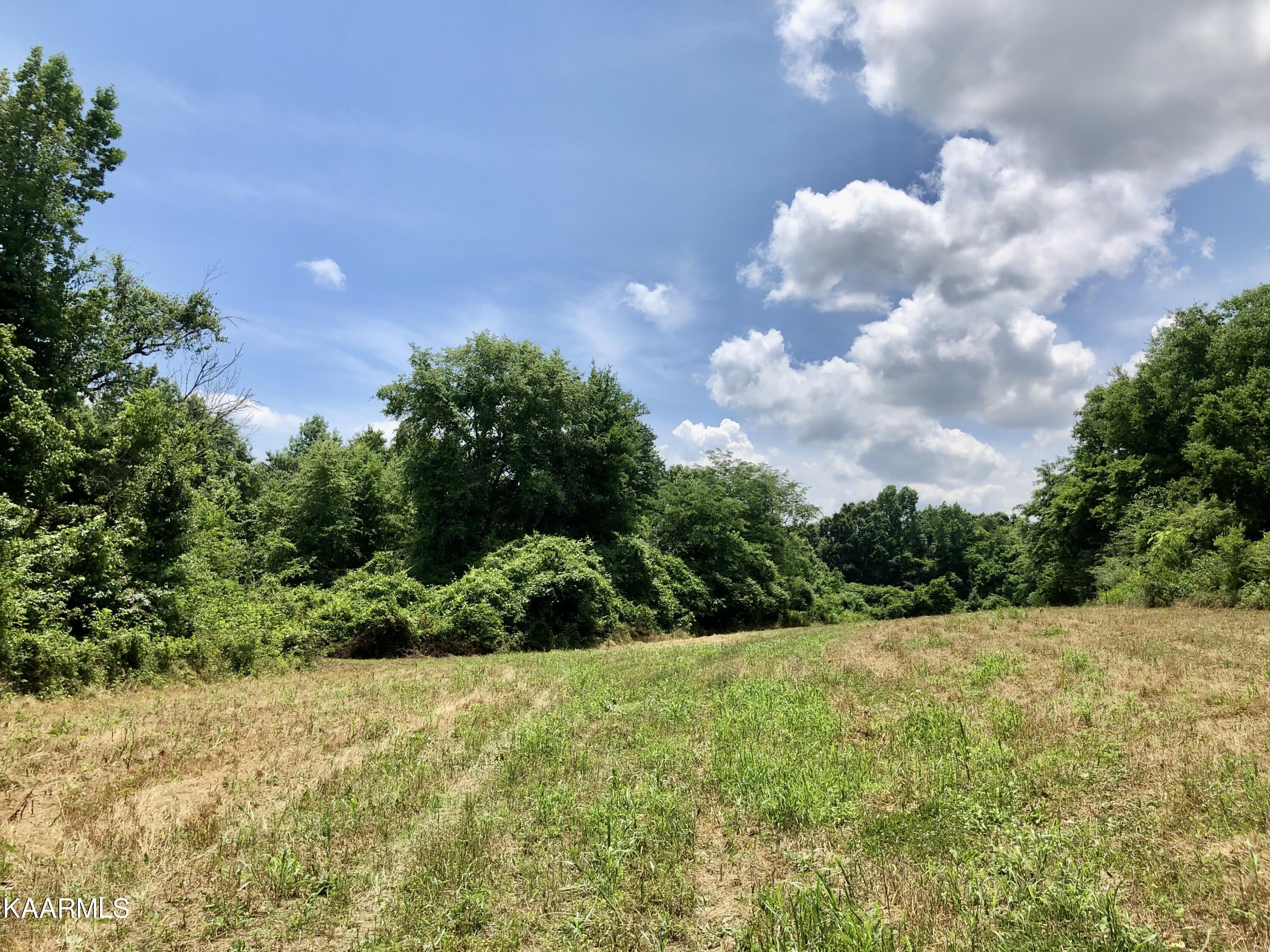 30 Hwy Decatur Tn 37322 Decatur, TN 37322 - Photo 17 of 33 2-17