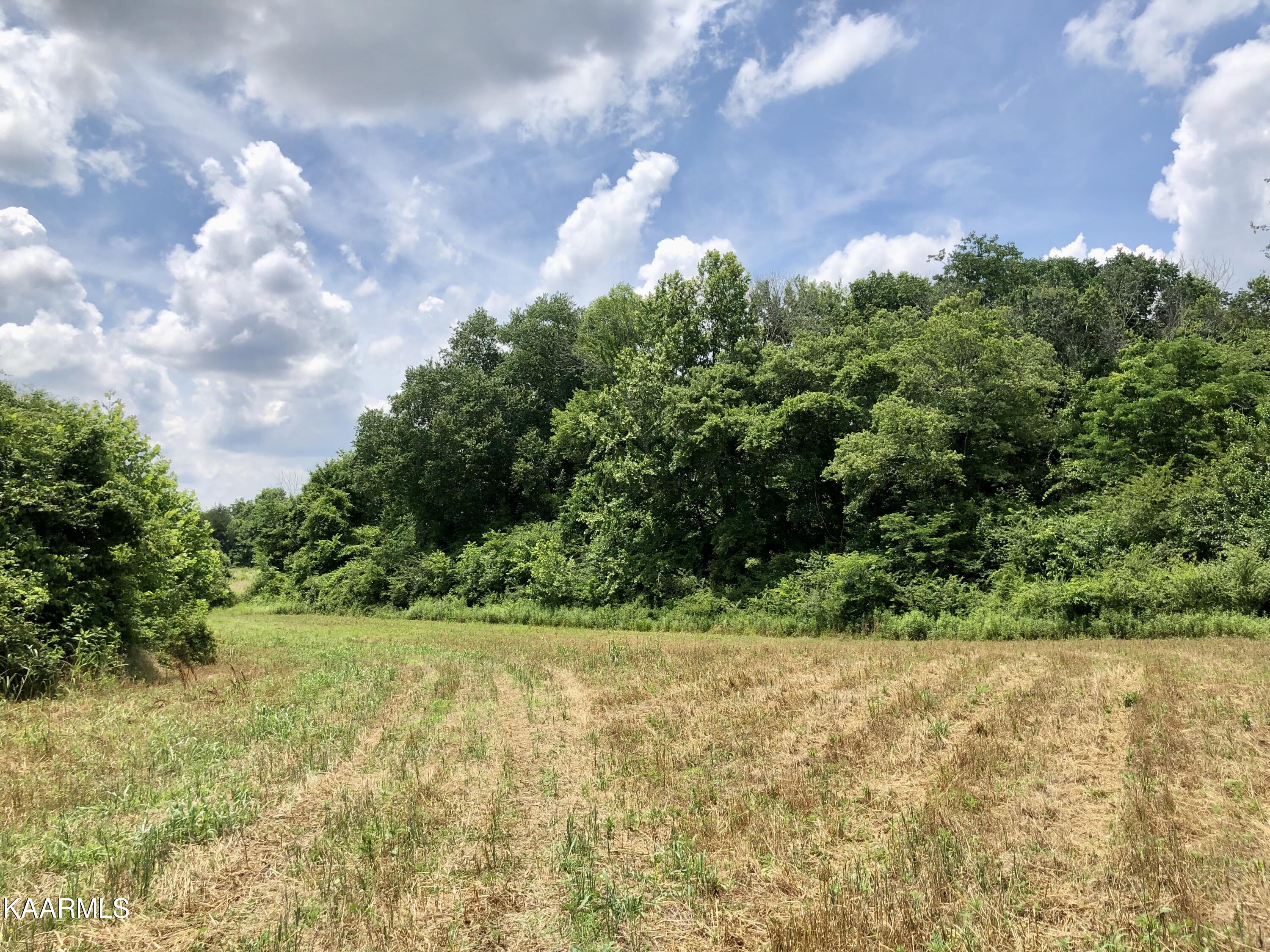 30 Hwy Decatur Tn 37322 Decatur, TN 37322 - Photo 20 of 33 2-20