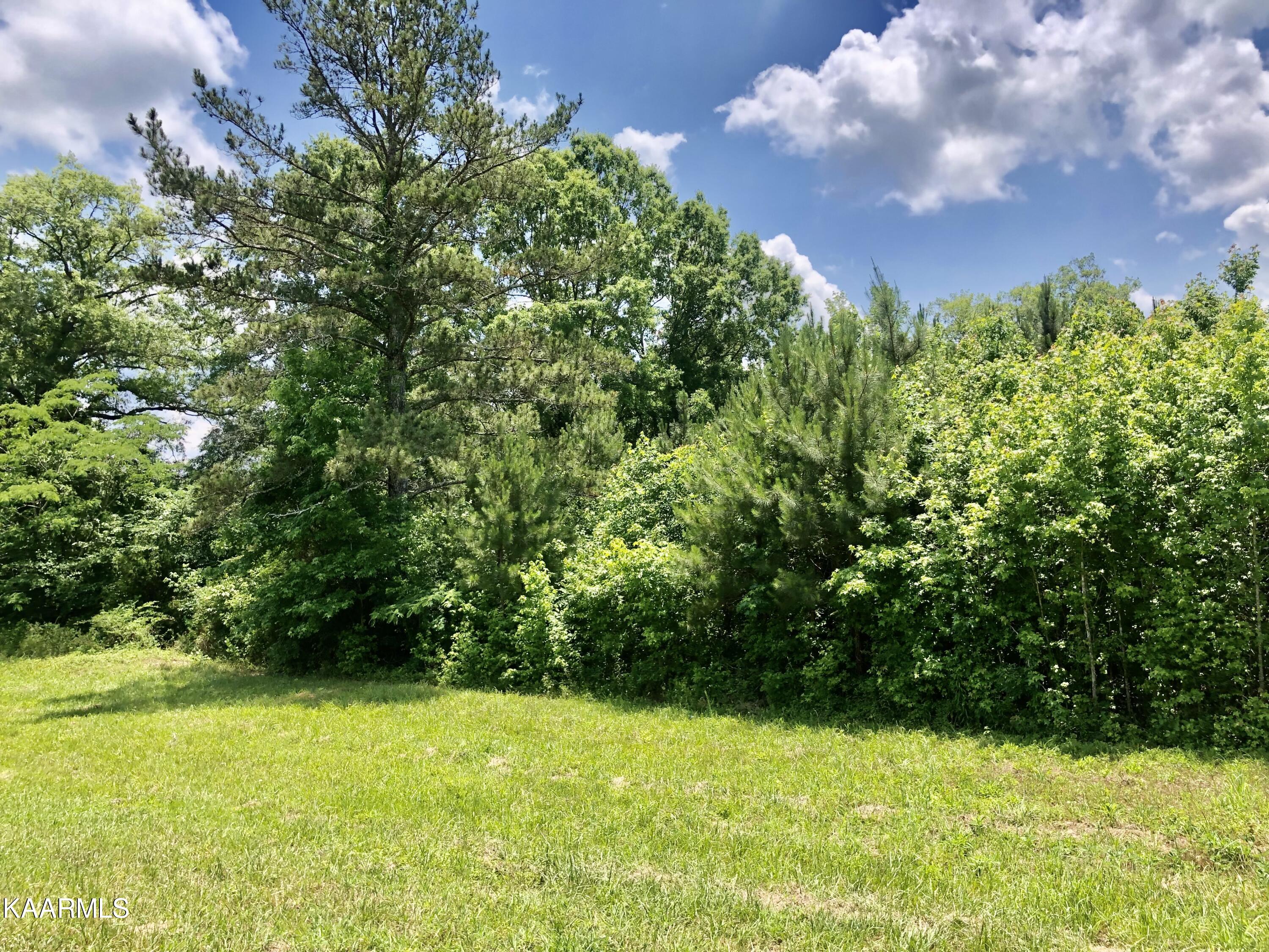 30 Hwy Decatur Tn 37322 Decatur, TN 37322 - Photo 2 of 33 2-2