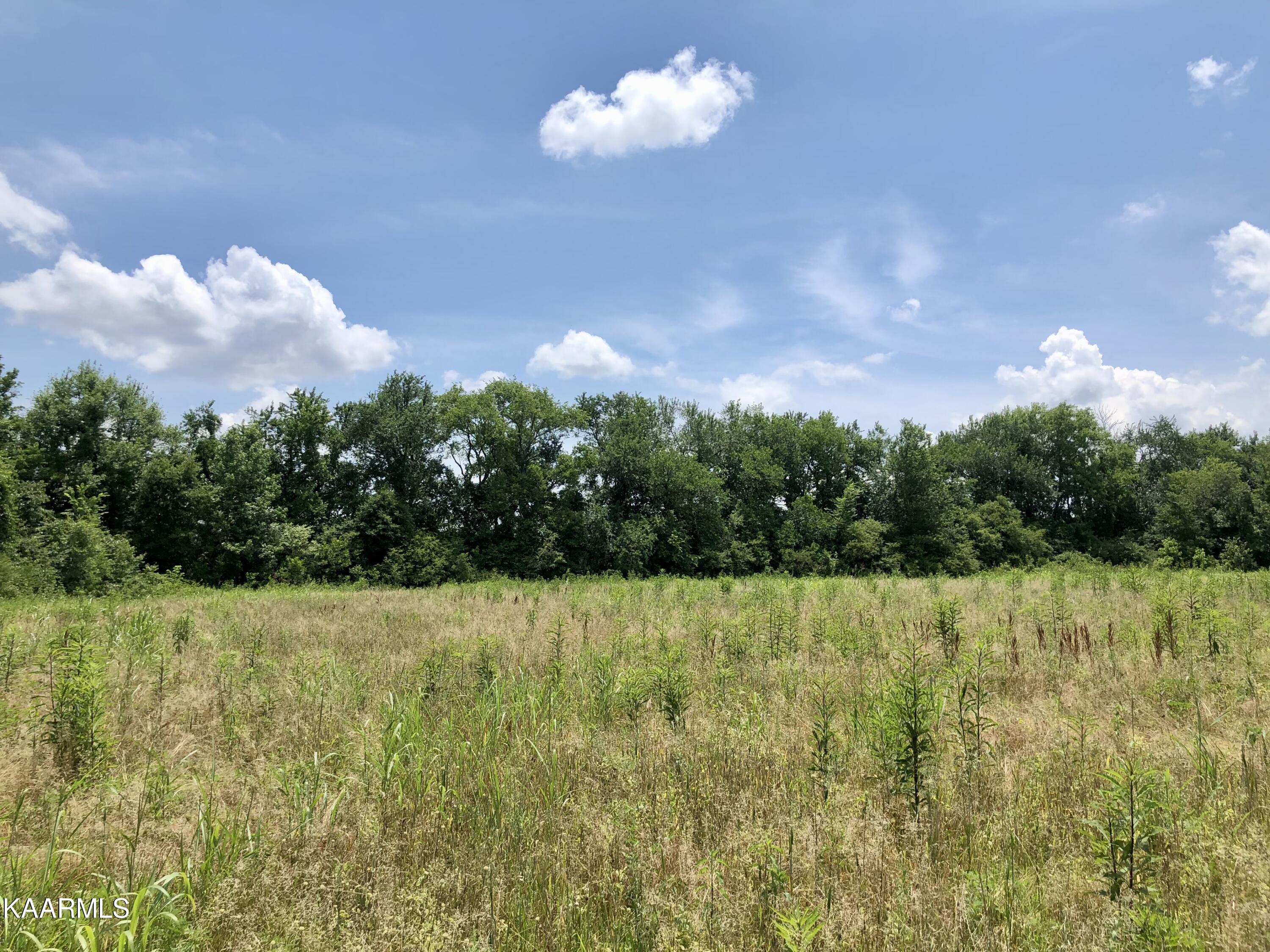 30 Hwy Decatur Tn 37322 Decatur, TN 37322 - Photo 21 of 33 2-21
