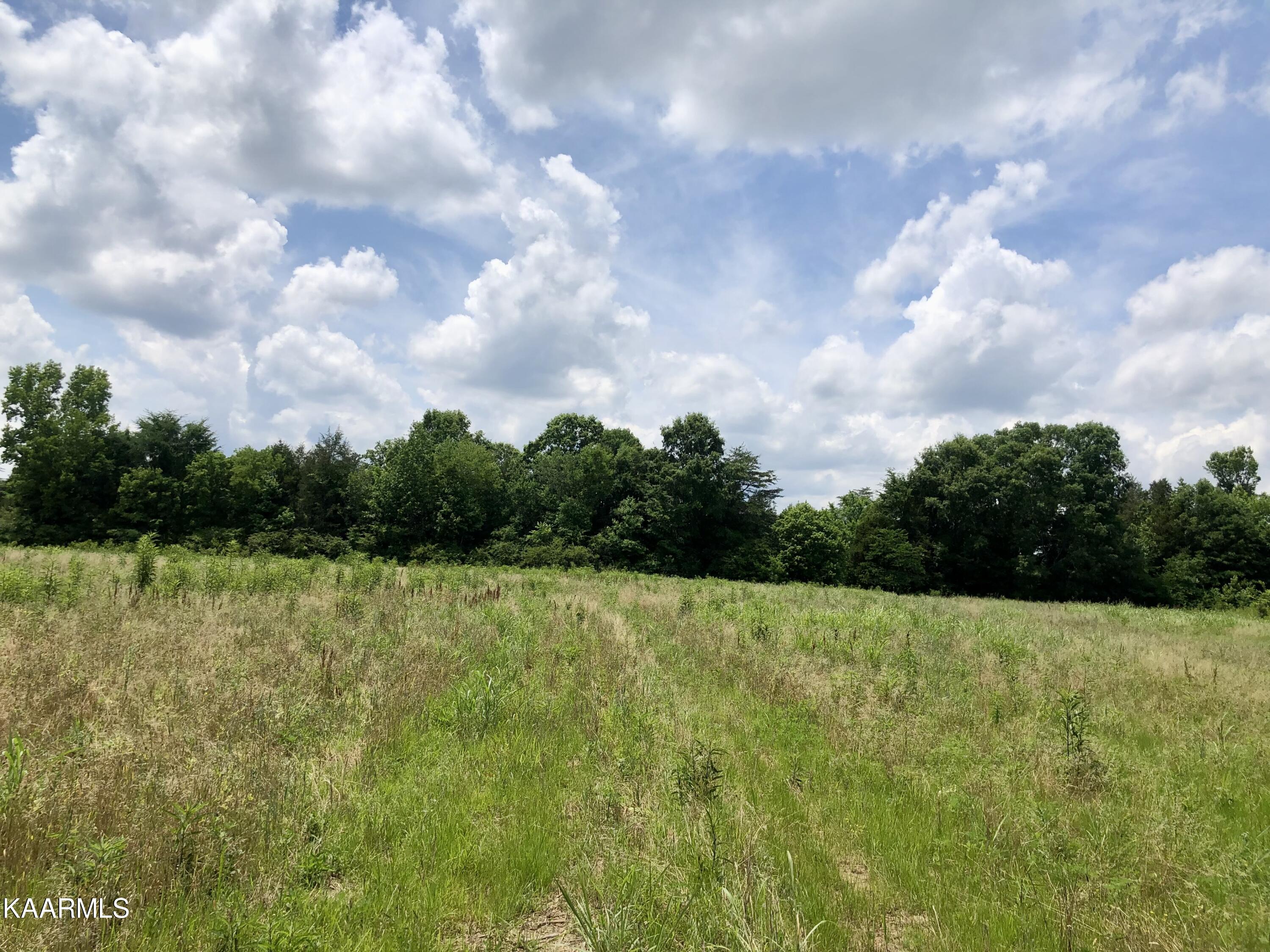 30 Hwy Decatur Tn 37322 Decatur, TN 37322 - Photo 22 of 33 2-22