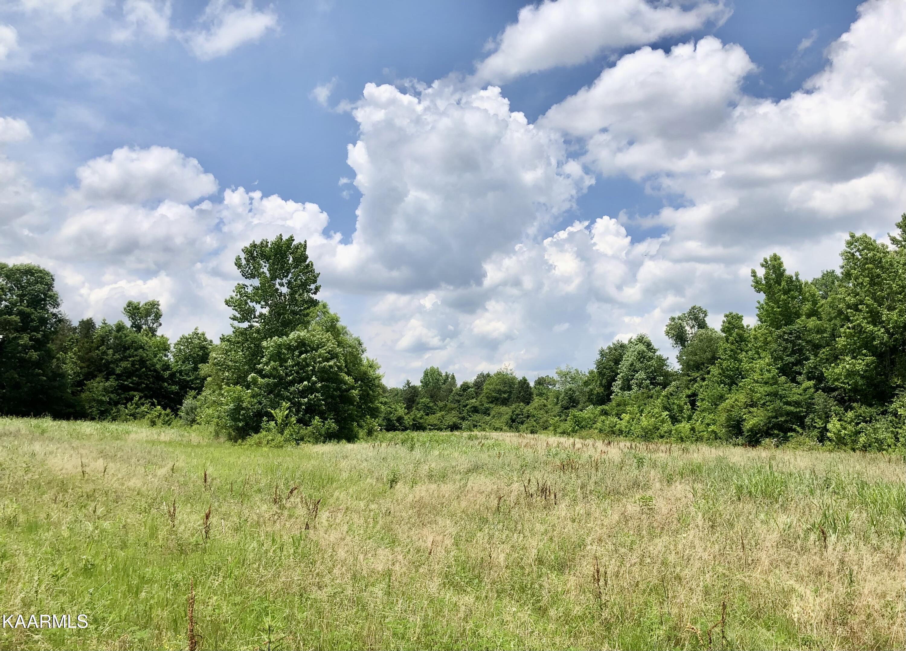 30 Hwy Decatur Tn 37322 Decatur, TN 37322 - Photo 23 of 33 2-23