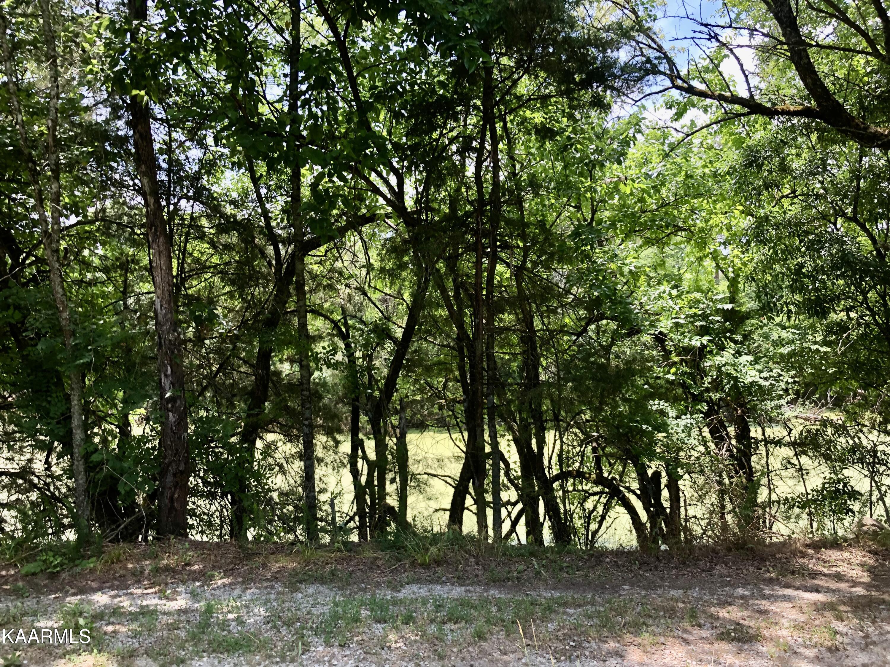 30 Hwy Decatur Tn 37322 Decatur, TN 37322 - Photo 26 of 33 2-26
