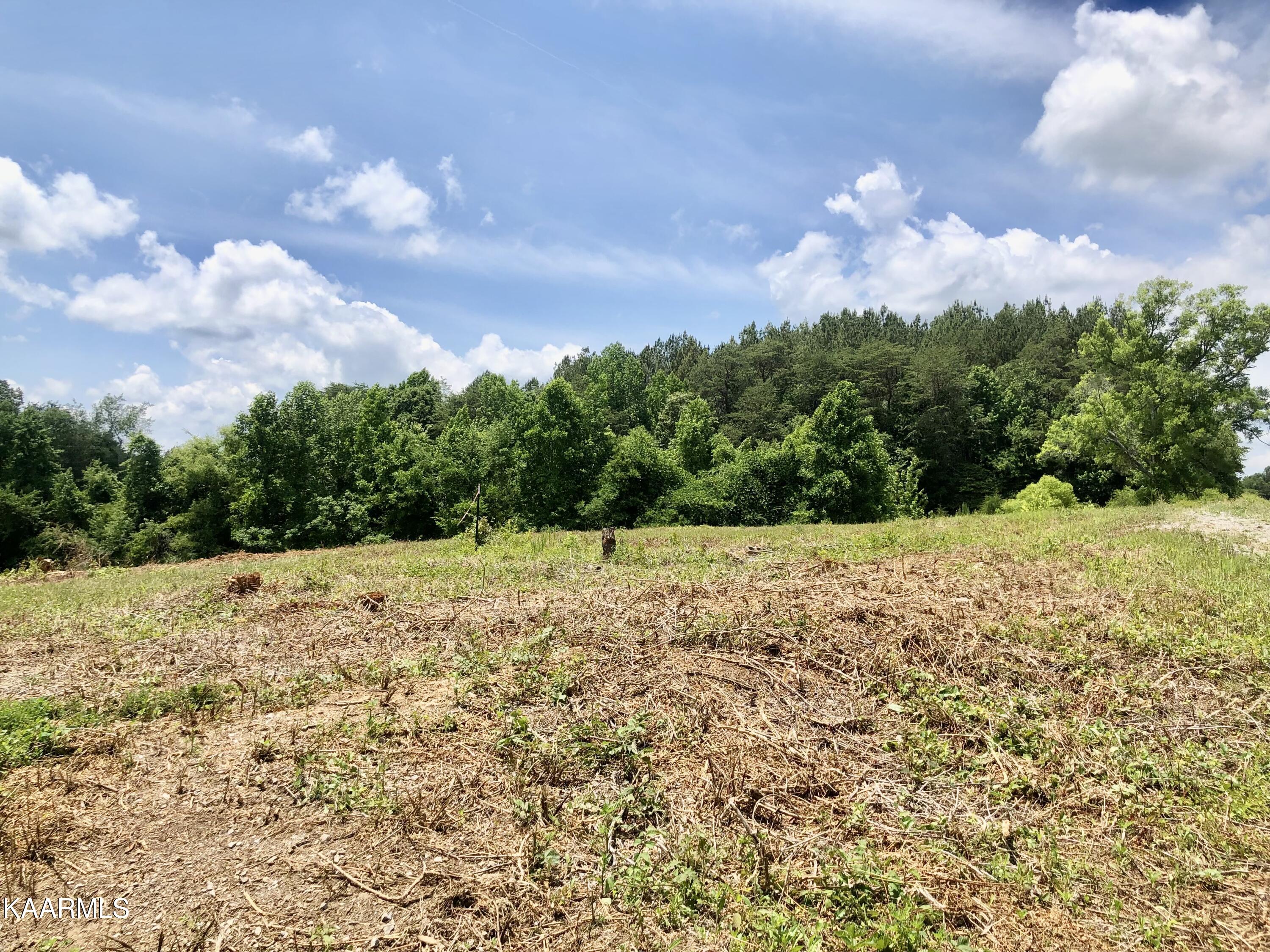 30 Hwy Decatur Tn 37322 Decatur, TN 37322 - Photo 6 of 33 2-6