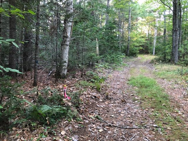 513 North Penobscot Road Penobscot, ME 04476 - Photo 39 of 47 Survey beside County Road